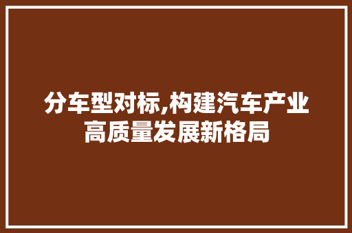 分车型对标,构建汽车产业高质量发展新格局