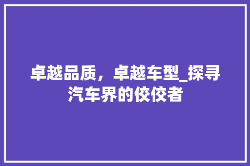 卓越品质，卓越车型_探寻汽车界的佼佼者