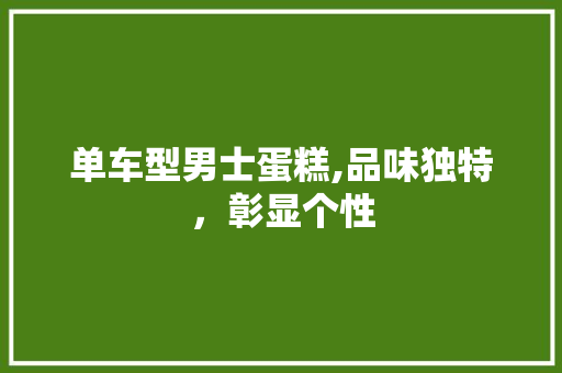 单车型男士蛋糕,品味独特，彰显个性