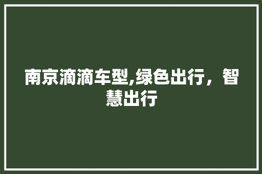 南京滴滴车型,绿色出行，智慧出行