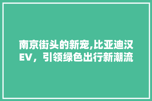 南京街头的新宠,比亚迪汉EV，引领绿色出行新潮流 新能源汽车