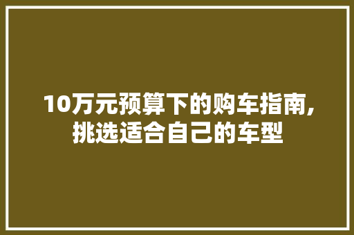 10万元预算下的购车指南,挑选适合自己的车型