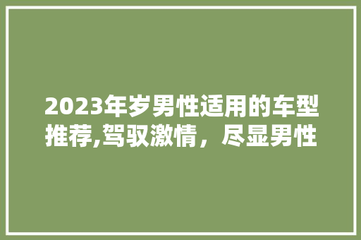 2023年岁男性适用的车型推荐,驾驭激情，尽显男性魅力