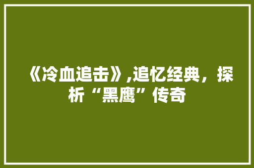 《冷血追击》,追忆经典，探析“黑鹰”传奇