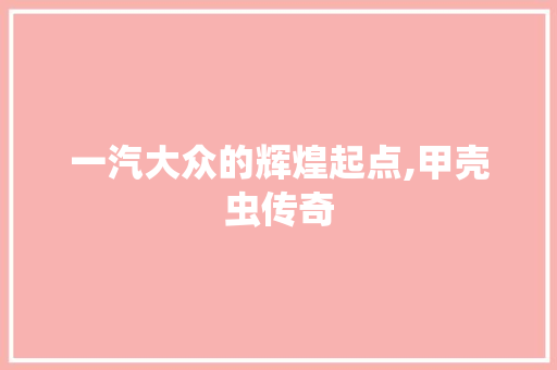一汽大众的辉煌起点,甲壳虫传奇