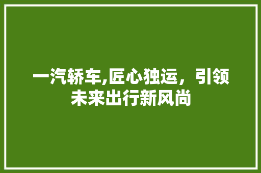 一汽轿车,匠心独运，引领未来出行新风尚