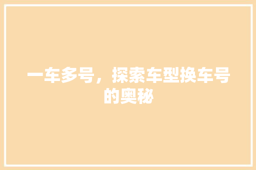 一车多号，探索车型换车号的奥秘