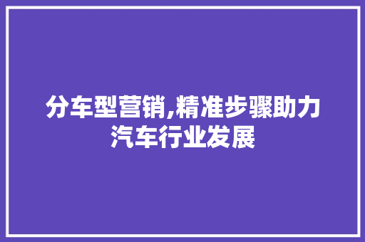 分车型营销,精准步骤助力汽车行业发展