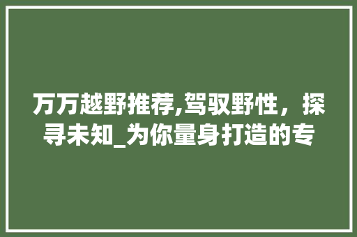 万万越野推荐,驾驭野性，探寻未知_为你量身打造的专业越野车型