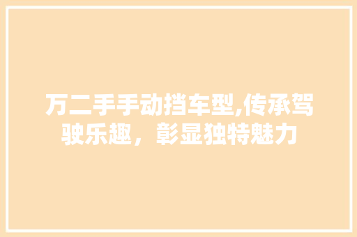 万二手手动挡车型,传承驾驶乐趣，彰显独特魅力 车身配件