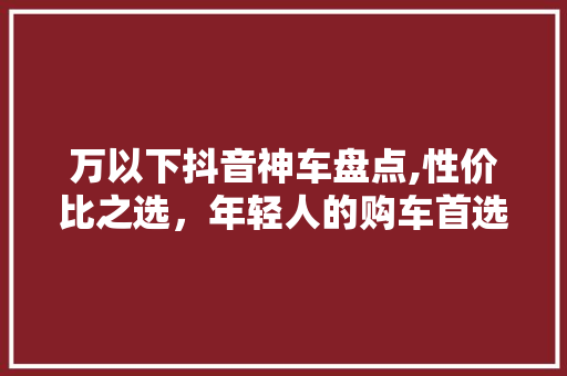 万以下抖音神车盘点,性价比之选，年轻人的购车首选