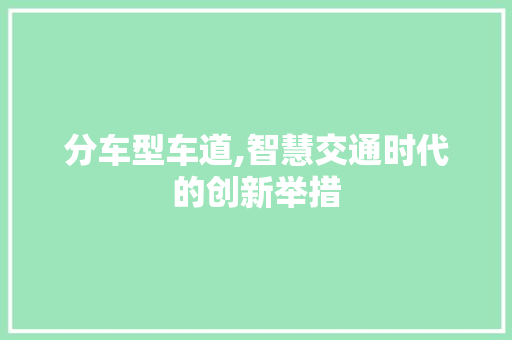 分车型车道,智慧交通时代的创新举措