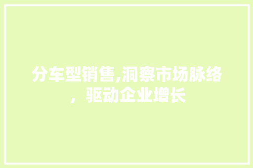 分车型销售,洞察市场脉络，驱动企业增长 新能源汽车