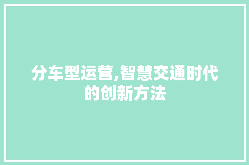 分车型运营,智慧交通时代的创新方法