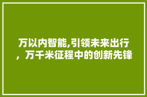 万以内智能,引领未来出行，万千米征程中的创新先锋