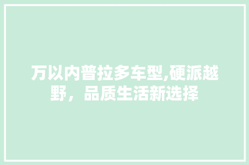 万以内普拉多车型,硬派越野，品质生活新选择