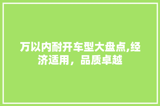 万以内耐开车型大盘点,经济适用，品质卓越