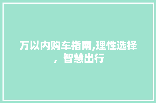 万以内购车指南,理性选择，智慧出行