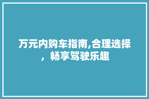 万元内购车指南,合理选择，畅享驾驶乐趣