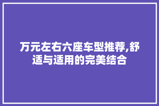 万元左右六座车型推荐,舒适与适用的完美结合