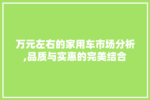 万元左右的家用车市场分析,品质与实惠的完美结合