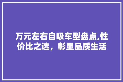 万元左右自吸车型盘点,性价比之选，彰显品质生活