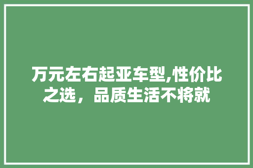 万元左右起亚车型,性价比之选，品质生活不将就