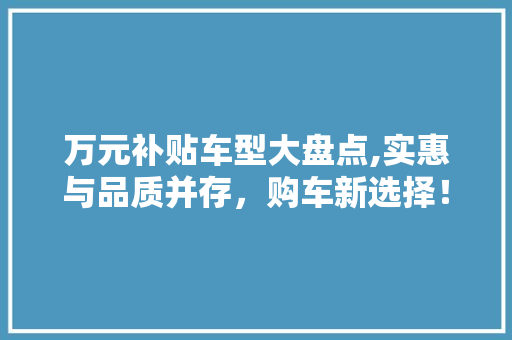 万元补贴车型大盘点,实惠与品质并存，购车新选择！