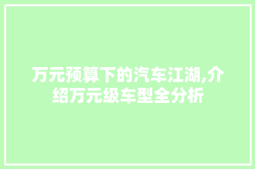 万元预算下的汽车江湖,介绍万元级车型全分析