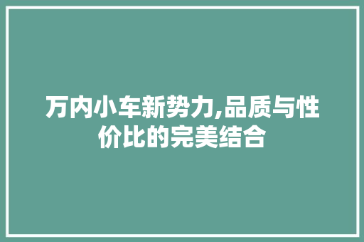 万内小车新势力,品质与性价比的完美结合