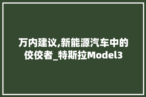 万内建议,新能源汽车中的佼佼者_特斯拉Model3