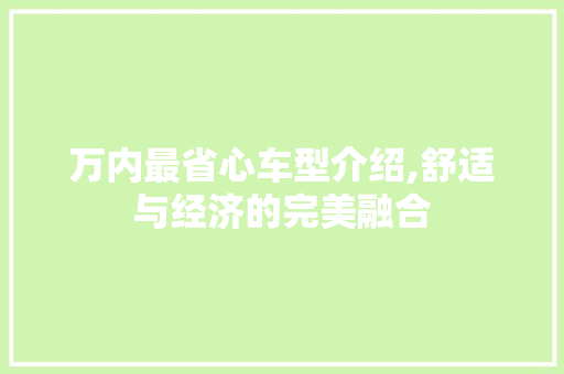 万内最省心车型介绍,舒适与经济的完美融合