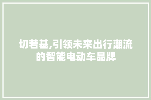 切若基,引领未来出行潮流的智能电动车品牌