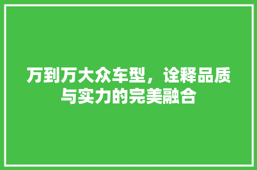 万到万大众车型，诠释品质与实力的完美融合