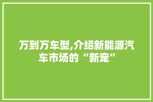 万到万车型,介绍新能源汽车市场的“新宠”