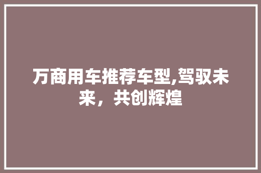 万商用车推荐车型,驾驭未来，共创辉煌
