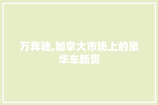万奔驰,加拿大市场上的豪华车新贵 车灯配件