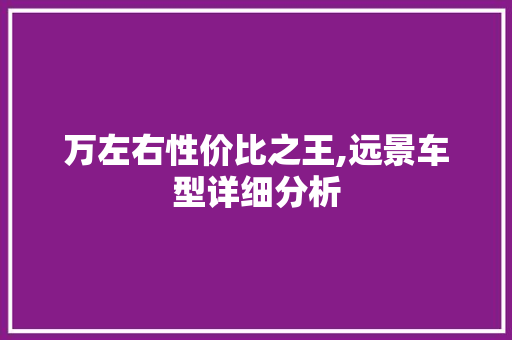 万左右性价比之王,远景车型详细分析