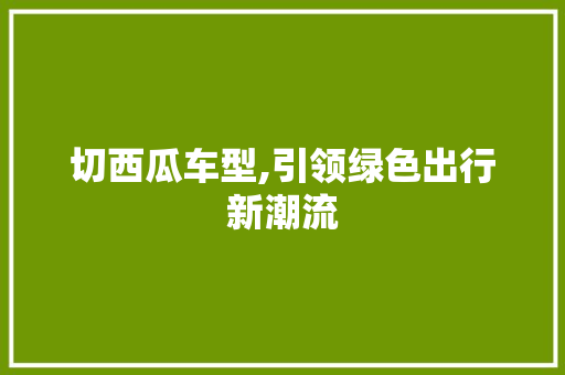 切西瓜车型,引领绿色出行新潮流