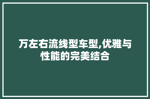 万左右流线型车型,优雅与性能的完美结合