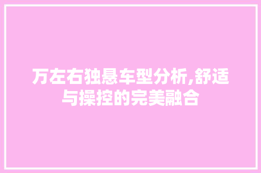 万左右独悬车型分析,舒适与操控的完美融合 蓄电池配件