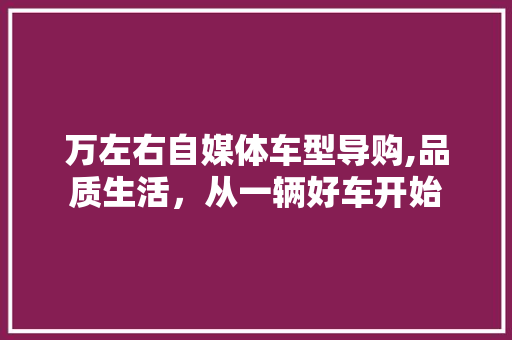 万左右自媒体车型导购,品质生活，从一辆好车开始