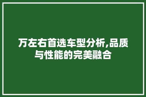万左右首选车型分析,品质与性能的完美融合