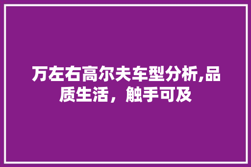 万左右高尔夫车型分析,品质生活，触手可及