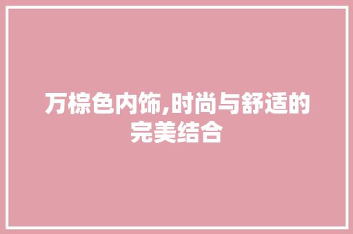 万棕色内饰,时尚与舒适的完美结合