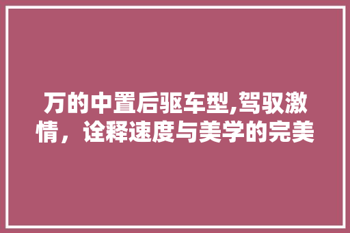 万的中置后驱车型,驾驭激情，诠释速度与美学的完美融合
