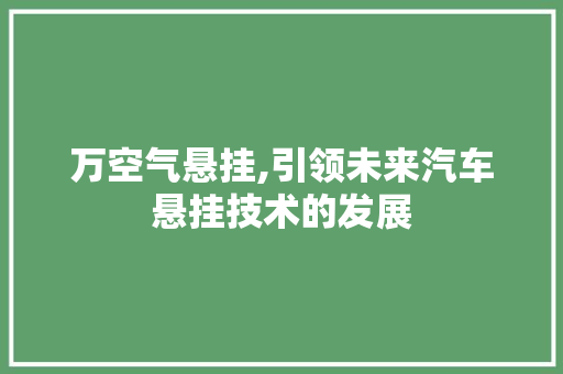 万空气悬挂,引领未来汽车悬挂技术的发展