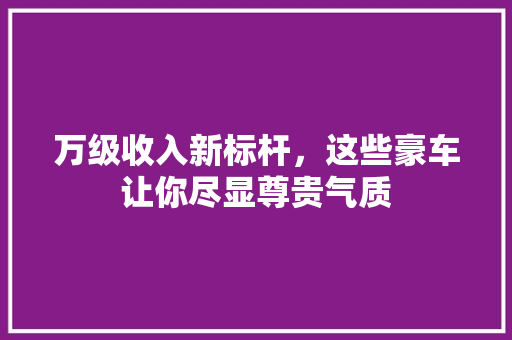 万级收入新标杆，这些豪车让你尽显尊贵气质
