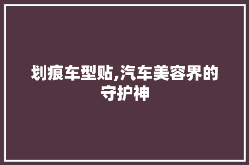 划痕车型贴,汽车美容界的守护神