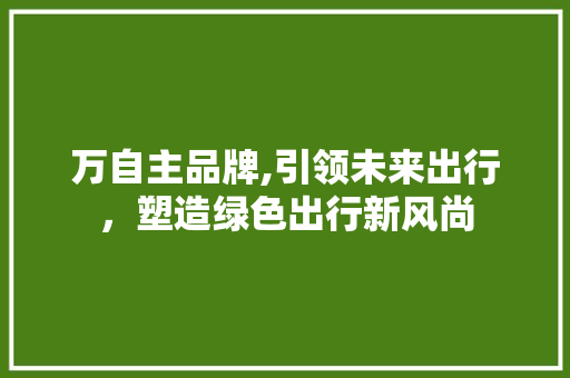 万自主品牌,引领未来出行，塑造绿色出行新风尚